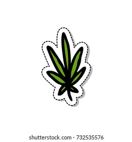 cannabis (marijuana leaf) doodle icon
