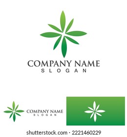 cannabis marijuana leaf icon vector