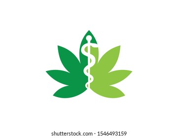 cannabis or marijuana leaf logo icon for medical or health and pharmacy company
