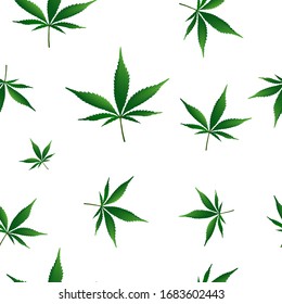 cannabis. Marijuana Leaf is a medicinal plant.Pattern on a white background.Vector.
