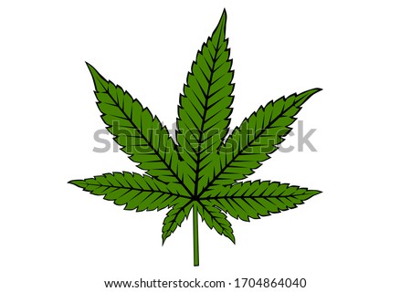 Cannabis Marijuana Leaf on White Background Vector Illustration