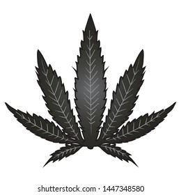 Cannabis Marijuana Leaf Vector Icon. Logo Illustration