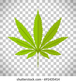 Cannabis. Marijuana leaf vector isolated on transparent background