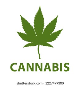 Cannabis or marijuana. Line vector. Isolate on white background.
