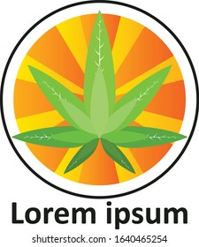 Cannabis Marijuana Logos Vector Design