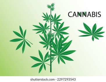 vector de marihuana de cannabis para icono de fondo del logo                    