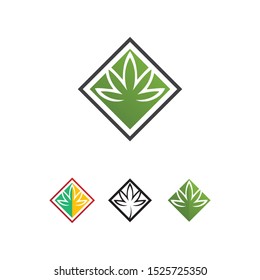 cannabis marijuana vector logo and design
