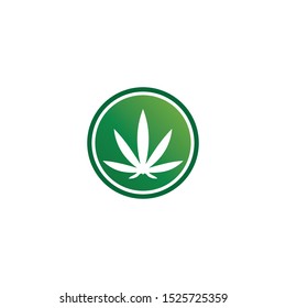 cannabis marijuana vector logo and design