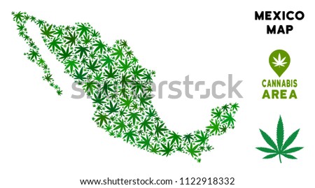 Cannabis Mexico map collage of marijuana leaves. Narcotic dependence concept. Vector Mexico map is formed of green cannabis leaves. Abstract geographic scheme in green color tones.