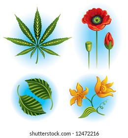 Cannabis, mint, vanilla, poppy - vector set of plants
