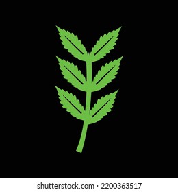 Cannabis nature leaf  vector logo 