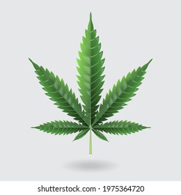 cannabis on white background vector realistic for Poster Template