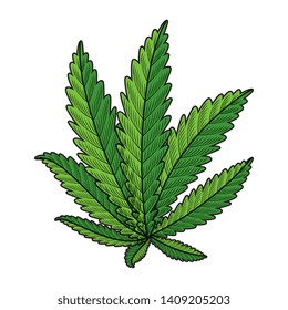 cannabis plant leafs nature icon