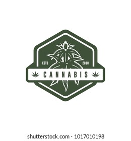 cannabis plant logo