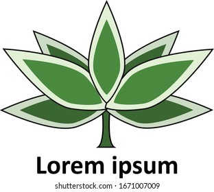 Diseño de vectores con el logotipo de la planta de cannabis