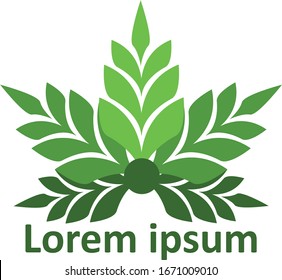 Diseño de vectores con el logotipo de la planta de cannabis