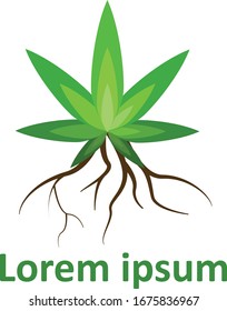 Cannabis Plant Logo Vector Design