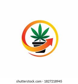 cannabis en una olla con vector de flecha