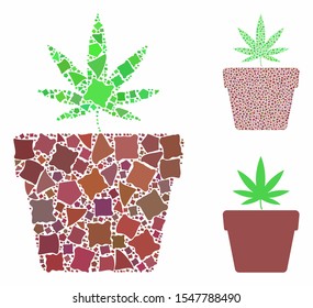 Cannabis pot mosaic of ragged elements in different sizes and color hues, based on cannabis pot icon. Vector ragged items are organized into collage. Cannabis pot icons collage with dotted pattern.