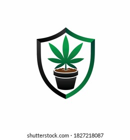 cannabis en una olla con vector protector