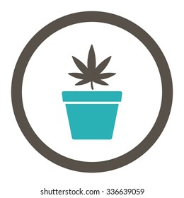 Cannabis Pot vector icon. Style is bicolor flat rounded symbol, grey and cyan colors, rounded angles, white background.
