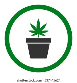 Cannabis Pot vector icon. Style is bicolor flat rounded symbol, green and gray colors, rounded angles, white background.