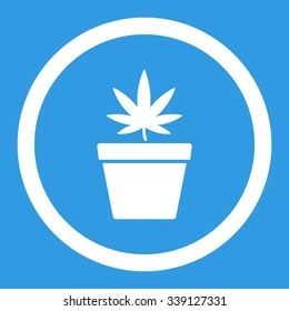 Cannabis Pot vector icon. Style is flat rounded symbol, white color, rounded angles, blue background.