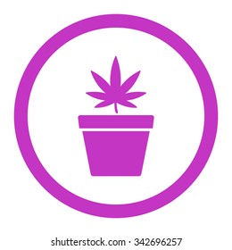 Cannabis Pot vector icon. Style is flat rounded symbol, violet color, rounded angles, white background.