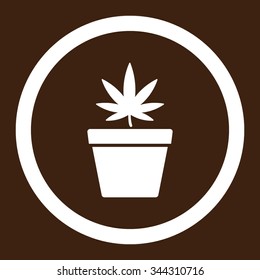 Cannabis Pot vector icon. Style is flat rounded symbol, white color, rounded angles, brown background.