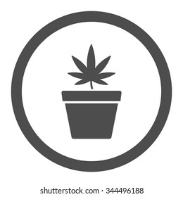 Cannabis Pot vector icon. Style is flat rounded symbol, gray color, rounded angles, white background.