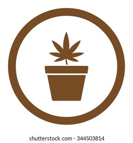 Cannabis Pot vector icon. Style is flat rounded symbol, brown color, rounded angles, white background.