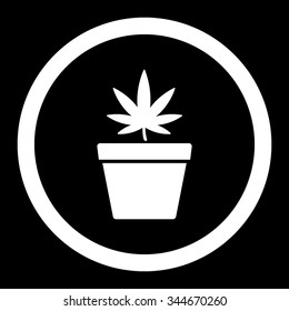 Cannabis Pot vector icon. Style is flat rounded symbol, white color, rounded angles, black background.