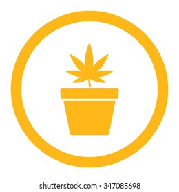 Cannabis Pot vector icon. Style is flat rounded symbol, yellow color, rounded angles, white background.