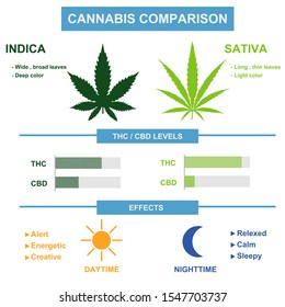 cannabis sativa and cannabis indica comparison.