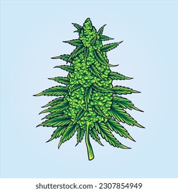 Cannabis sativa strains botanical flower buds illustrations vector illustrations for your work logo, merchandise t-shirt, stickers and label designs, poster, greeting cards advertising business