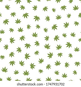Patrón sin fisuras de cannabis. Hojas de marihuana, planta de hierba verde. Textura hachís, fondo blanco aislado. Hierba psicodélica del cáñamo. Impresión de tela para papel tapiz médico. Diseño sencillo. Ilustración del vector