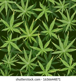 Cannabis seamless pattern with marijuana leaves, leaf silhouette on dark black background. Vector illustration in flat simple trendy style.