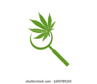 Plantilla vectorial de diseño del logotipo de búsqueda de cannabis. Canabis creativo con fondo blanco