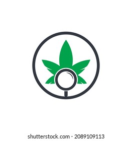 Plantilla vectorial de diseño del logotipo de búsqueda de cannabis. Combinación de la hoja de marihuana y el logotipo de la lupa. Símbolo o ícono de aumento y aumento.	