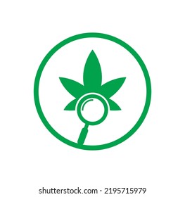 Plantilla vectorial de diseño del logotipo de búsqueda de cannabis. Combinación de la hoja de marihuana y el logotipo de la lupa. Símbolo o ícono de aumento y aumento.