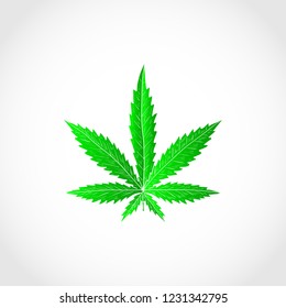 Cannabis. Sheet. Sketch. Color. Logo, sign, symbol.