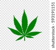 cannabis vector