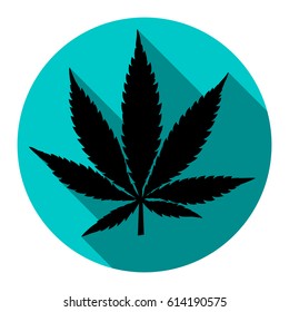 Cannabis sign illustration. Vector. Flat black icon with flat shadow on sky circle with white background. Isolated.