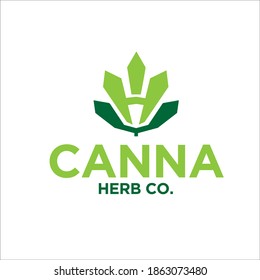 diseños de logotipo simple de cannabis para icono y símbolo de salud de hierba
