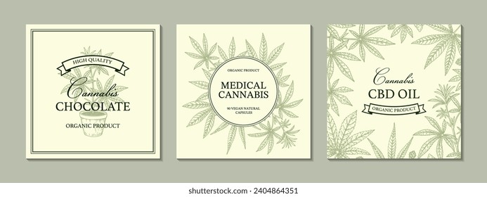 Cannabis square design for packaging, social media posts, store decoration, branding, certificates. Set of marijuana vector illustration in sketch style. Hemp engraved background