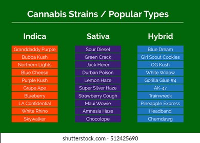 Cannabis strains. Marijuana related info graphic chart showing some of the popular weed types and sorts. Any non English words are part of a name.