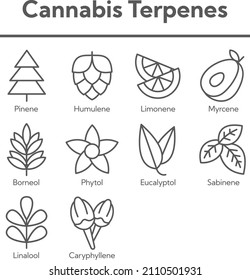 Cannabis Terpenes Outline Vector Icon Set