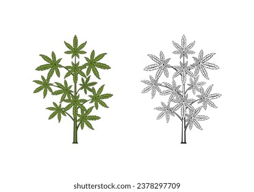 Formato vectorial de ilustración de árbol de cannabis , adecuado para sus necesidades de diseño, logotipo, ilustración, animación, etc.