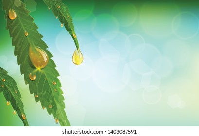 Cannabis tree in a pot  on gray background. Marijauna medical benefitts of hemp oil, vector design.