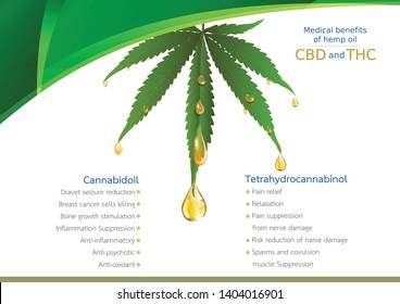 Cannabis tree in a pot  on gray background. Marijauna medical benefitts of hemp oil, vector design.